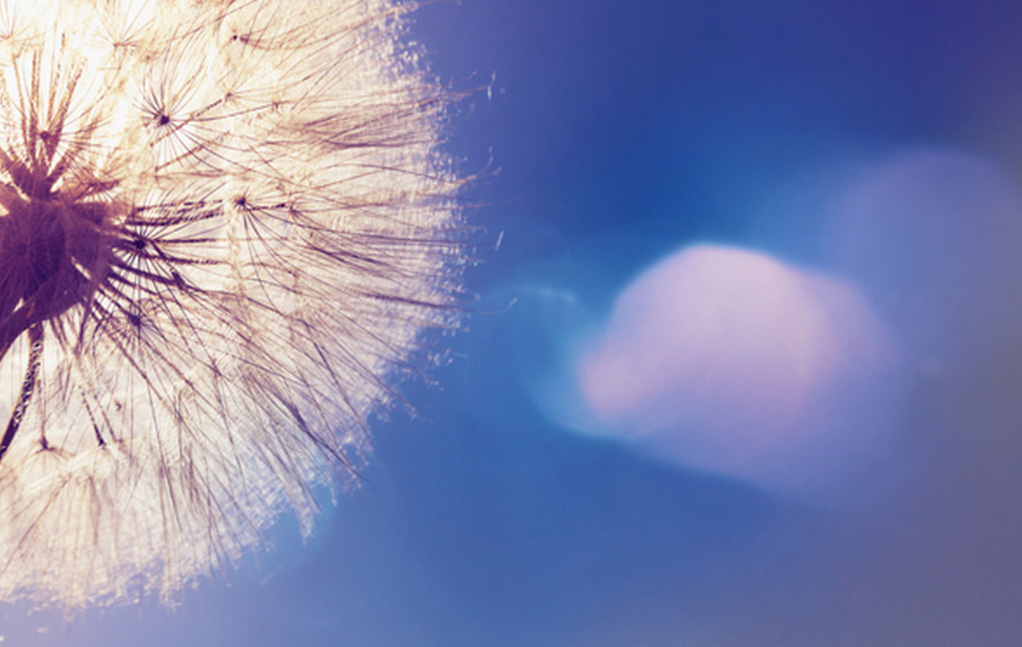 2121非凡·(中国集团)体育官方网站